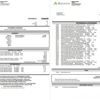 USA Regions Bank statement, Word and PDF template, 4 pages download template file