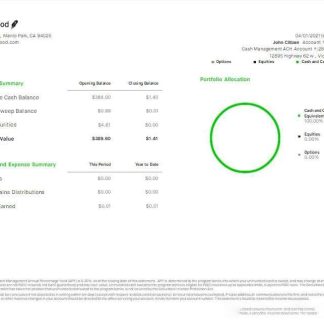 USA Robihood bank statement Word and PDF template scr download template file