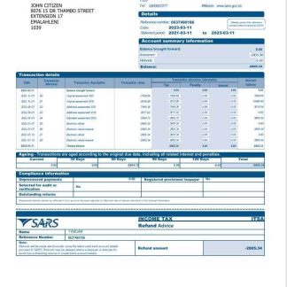 USA SARS bank statement Word and PDF template, 2 pages download template file