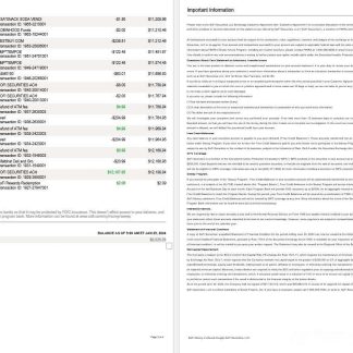 USA Sofi bank statement, 4 pages 2 download template file