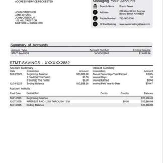 USA Somerset Regal Bank account statement Word and PDF template download template file