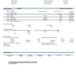 USA South State Bank statement Word and PDF template download template file