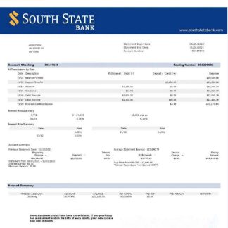 USA South State Bank statement Word and PDF template w download template file