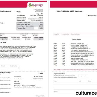 USA St. George bank visa card statement 3 pages download template file