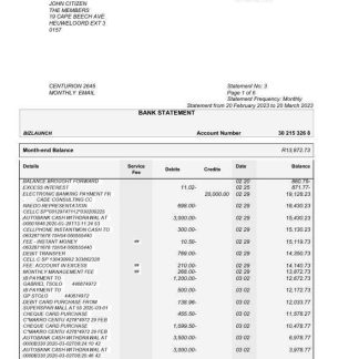 USA Standard Bank statement Word and PDF template, 6 pages download template file