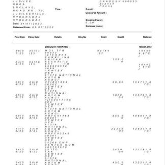 USA State Bank of India bank statement Word and PDF template, 3 pages download template file