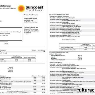 USA Suncoast Bank account statement Word and PDF template, 2 pages download template file