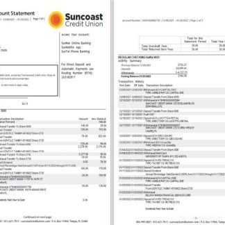 USA Suncoast bank statement Word and PDF template 1 2 download template file