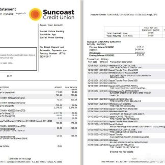 USA Suncoast bank statement Word and PDF template, 3 pages download template file