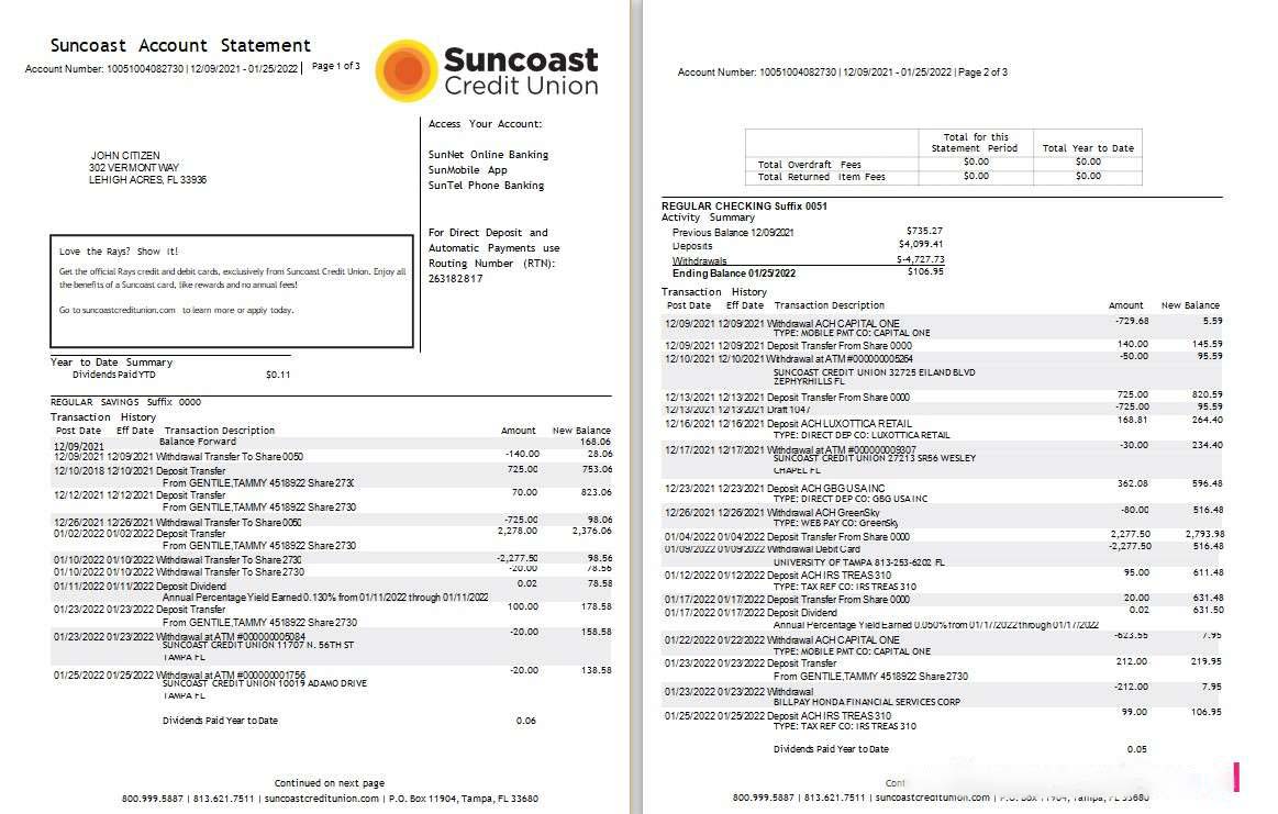 USA Suncoast bank statement Word and PDF template, 3 pages download template file