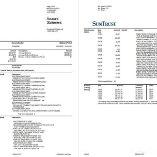 USA SunTrust Bank 2p download template file