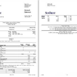 USA Suntrust bank account statement Word and PDF template, 2 pages scr download template file