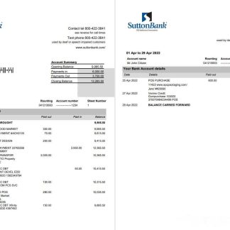 USA Sutton Bank Statement 2 pages download template file
