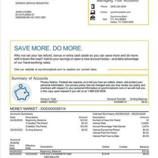 USA Synchrony Bank statement Word and PDF template download template file