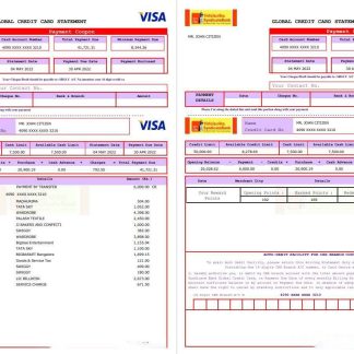 USA Syndicate bank credit card statement 3 pages download template file
