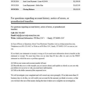 USA Synovus Bank statement Word and PDF template, 3 pages 2 download template file