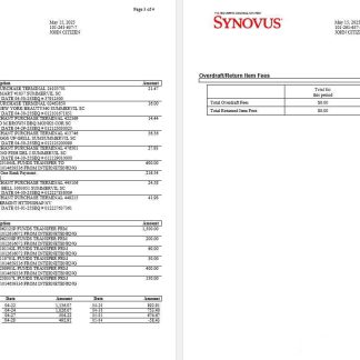 USA Synovus Bank statement Word and PDF template, 4 pages 2 download template file