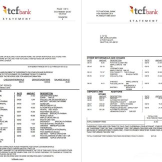 USA TCF bank statement, Word and PDF template, 3 pages download template file
