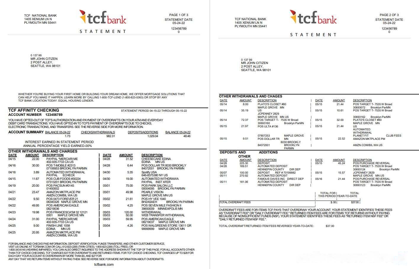 USA TCF bank statement, Word and PDF template, 3 pages download template file
