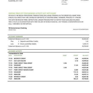 USA TD bank statement download template file