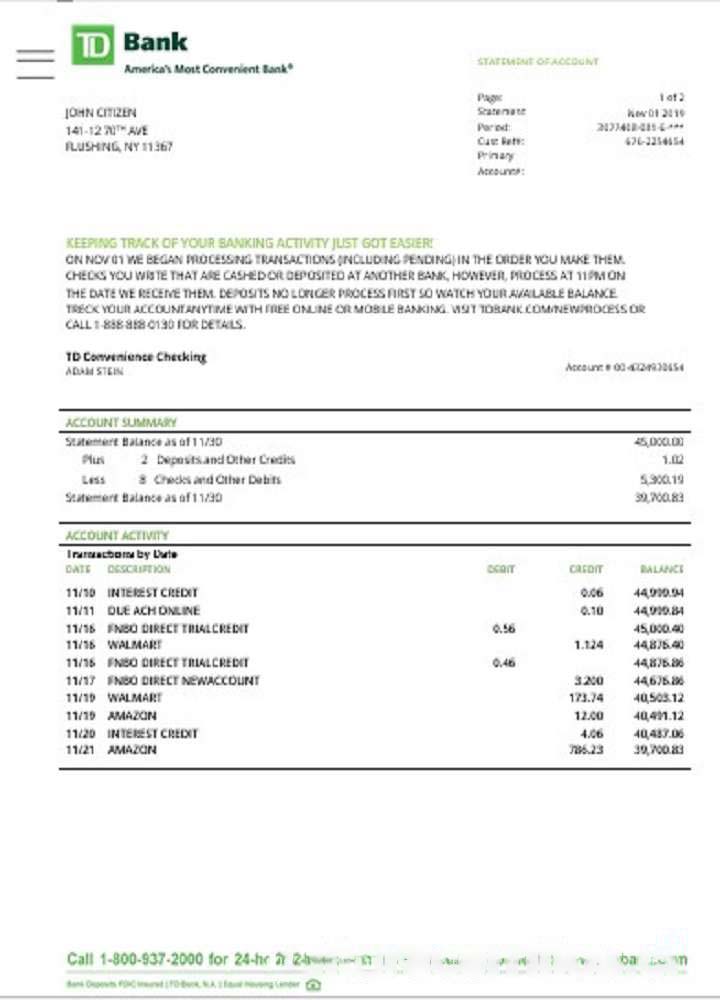 USA TD bank statement download template file