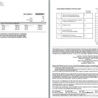 USA Tennesse Regions bank statement, 4 pages, version 2, 3 4 scr download template file