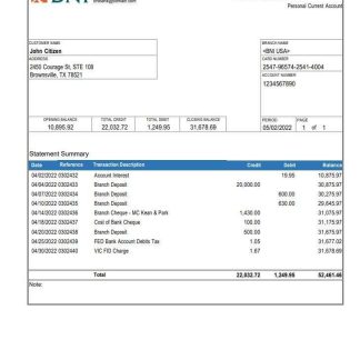 USA Texas BNI bank account statement download template file