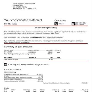 USA Texas IBC bank statement Word and PDF template, 5 pages download template file