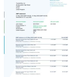 USA TransferWise Finances statement download template file