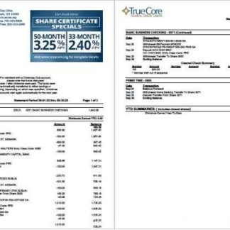 USA TrueCore Federal Credit Union account statement Word and PDF template, 2 pages download template file