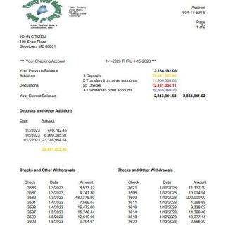USA Twenty First National Bank of Maine bank statement Word and PDF template, 2 pages download template file