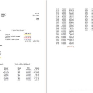 USA Twenty First National Bank of Maine bank statement Word and PDF template, 2 pages scr download template file