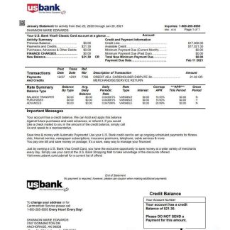 USA U.S. bank credit card statement template in Word and PDF format download template file