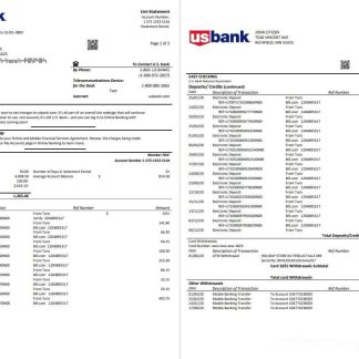 USA U.S. bank statement 3 pages download template file