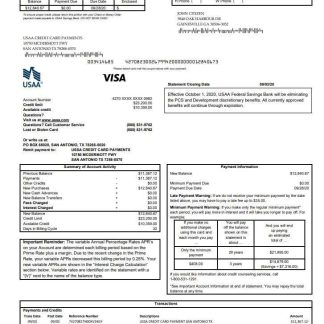 USA USAA bank Credit card statement download template file