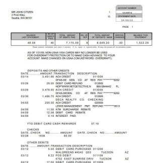 USA USAA bank statement 5 pages download template file