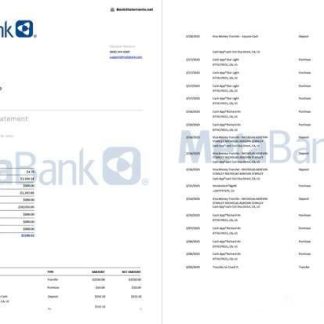 USA Washington Metabank account statement Word and PDF template, 2 pages download template file