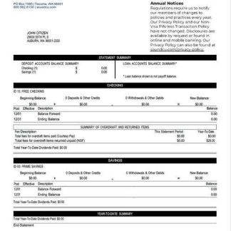 USA Washington Sound Credit Union account statement Word and PDF template download template file
