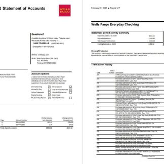 USA Wells Fargo 7 pages download template file