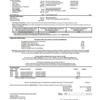 USA Wells Fargo bank credit card statement download template file