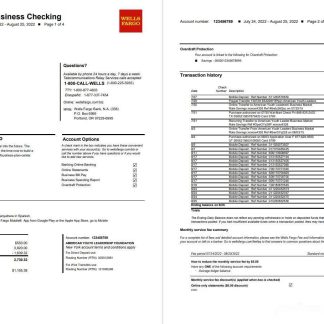 USA Wells Fargo Bank Simple Business Checking 4p download template file