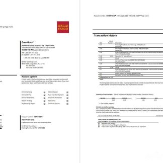 USA Wells Fargo bank statement 3 pages download template file