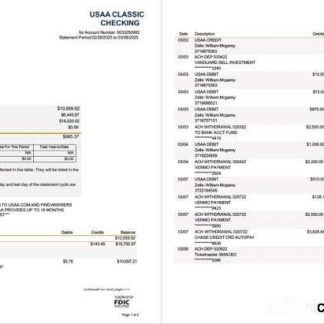 USAA Federal Savings Bank statement Word and PDF template, 2 pages download template file