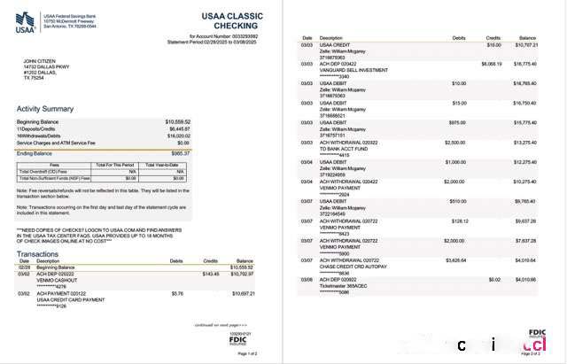 USAA Federal Savings Bank statement Word and PDF template, 2 pages download template file