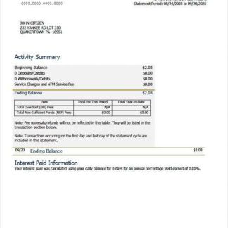 USAA Federal Savings Bank statement Word and PDF template, version 2 download template file