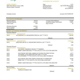 Venezuela Banesco bank statement download template file