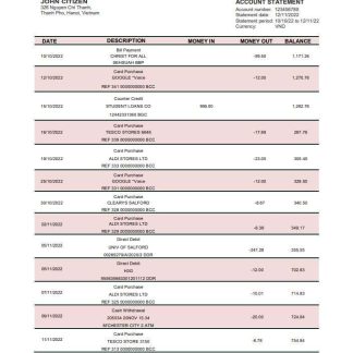 Vietnam Agribank bank statement download template file