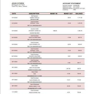 Vietnam Agribank bank statement template in Word and PDF format download template file