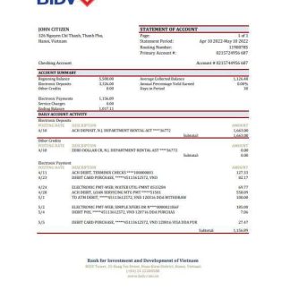 Vietnam BIDV bank statement, Excel and PDF template download template file