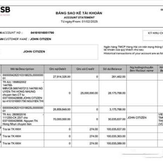 Vietnam MSB Bank account statement Word and PDF template download template file